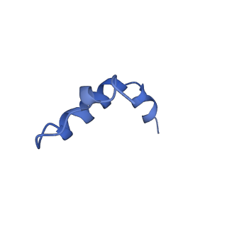 14733_7zhj_e_v1-1
Tail tip of siphophage T5 : tip proteins