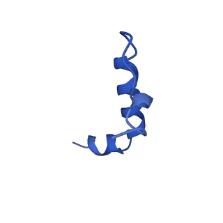 14733_7zhj_f_v1-1
Tail tip of siphophage T5 : tip proteins