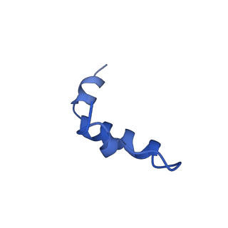 14733_7zhj_g_v1-1
Tail tip of siphophage T5 : tip proteins