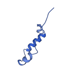 11227_6zik_I_v1-2
bovine ATP synthase rotor domain, state 3