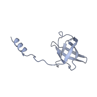 11228_6ziq_C_v1-2
bovine ATP synthase stator domain, state 1