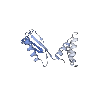 11228_6ziq_S_v1-2
bovine ATP synthase stator domain, state 1