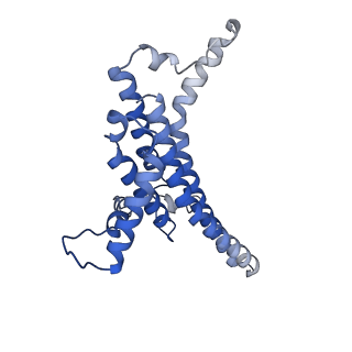 11228_6ziq_a_v1-2
bovine ATP synthase stator domain, state 1