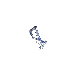11228_6ziq_b_v1-2
bovine ATP synthase stator domain, state 1