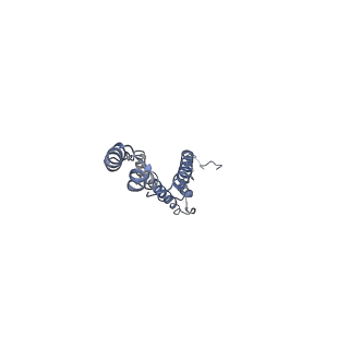11228_6ziq_d_v1-2
bovine ATP synthase stator domain, state 1