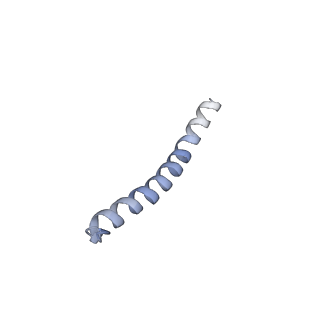 11228_6ziq_e_v1-2
bovine ATP synthase stator domain, state 1