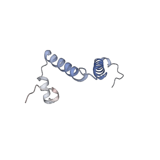 11228_6ziq_f_v1-2
bovine ATP synthase stator domain, state 1