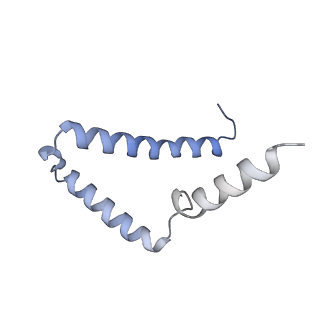 11228_6ziq_g_v1-2
bovine ATP synthase stator domain, state 1