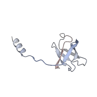 11229_6zit_C_v1-2
bovine ATP synthase Stator domain, state 2