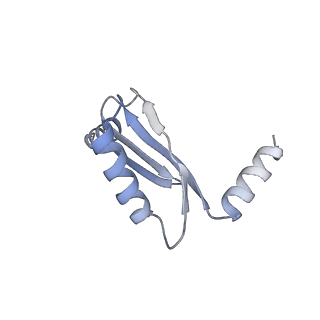 11229_6zit_S_v1-2
bovine ATP synthase Stator domain, state 2