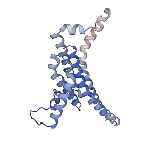 11229_6zit_a_v1-2
bovine ATP synthase Stator domain, state 2