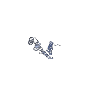11229_6zit_d_v1-2
bovine ATP synthase Stator domain, state 2