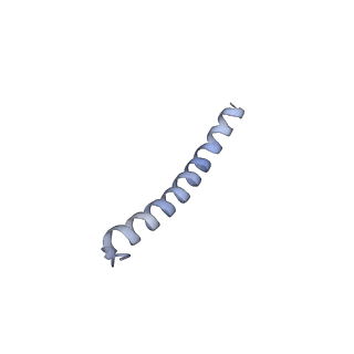 11229_6zit_e_v1-2
bovine ATP synthase Stator domain, state 2