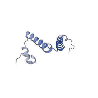 11229_6zit_f_v1-2
bovine ATP synthase Stator domain, state 2