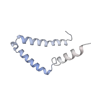 11229_6zit_g_v1-2
bovine ATP synthase Stator domain, state 2