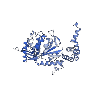 14737_7zi4_A_v1-0
Cryo-EM structure of the human INO80 complex bound to a WT nucleosome