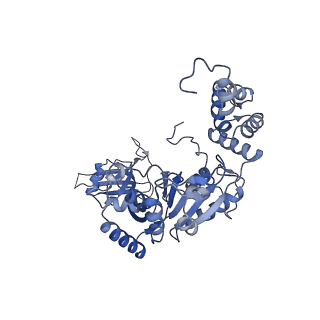 14737_7zi4_B_v1-0
Cryo-EM structure of the human INO80 complex bound to a WT nucleosome