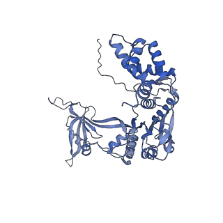 14737_7zi4_C_v1-0
Cryo-EM structure of the human INO80 complex bound to a WT nucleosome