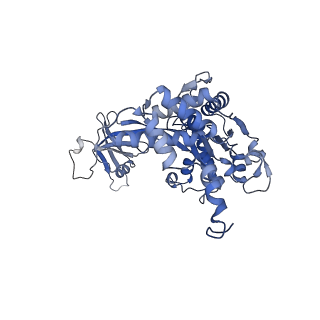 14737_7zi4_D_v1-0
Cryo-EM structure of the human INO80 complex bound to a WT nucleosome