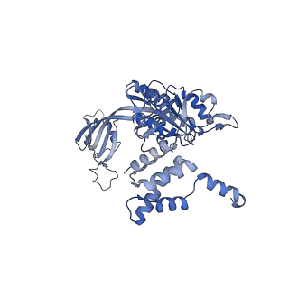 14737_7zi4_E_v1-0
Cryo-EM structure of the human INO80 complex bound to a WT nucleosome