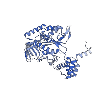 14737_7zi4_F_v1-0
Cryo-EM structure of the human INO80 complex bound to a WT nucleosome