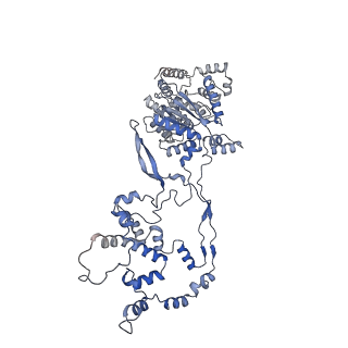 14737_7zi4_G_v1-0
Cryo-EM structure of the human INO80 complex bound to a WT nucleosome