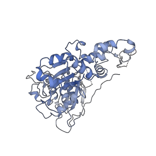 14737_7zi4_H_v1-0
Cryo-EM structure of the human INO80 complex bound to a WT nucleosome