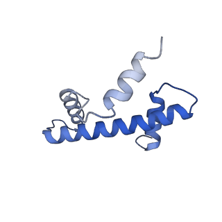 14737_7zi4_I_v1-0
Cryo-EM structure of the human INO80 complex bound to a WT nucleosome