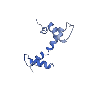 14737_7zi4_J_v1-0
Cryo-EM structure of the human INO80 complex bound to a WT nucleosome