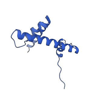 14737_7zi4_L_v1-0
Cryo-EM structure of the human INO80 complex bound to a WT nucleosome