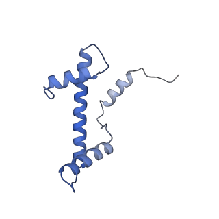 14737_7zi4_M_v1-0
Cryo-EM structure of the human INO80 complex bound to a WT nucleosome