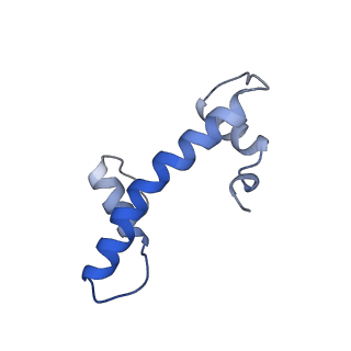 14737_7zi4_N_v1-0
Cryo-EM structure of the human INO80 complex bound to a WT nucleosome