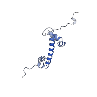 14737_7zi4_O_v1-0
Cryo-EM structure of the human INO80 complex bound to a WT nucleosome