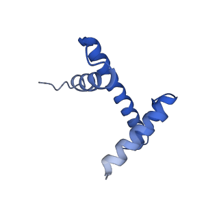 14737_7zi4_P_v1-0
Cryo-EM structure of the human INO80 complex bound to a WT nucleosome