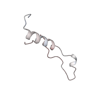 11232_6zj3_L1_v1-2
Cryo-EM structure of the highly atypical cytoplasmic ribosome of Euglena gracilis