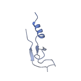 11232_6zj3_L2_v1-2
Cryo-EM structure of the highly atypical cytoplasmic ribosome of Euglena gracilis