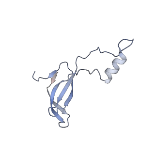 11232_6zj3_L4_v1-2
Cryo-EM structure of the highly atypical cytoplasmic ribosome of Euglena gracilis