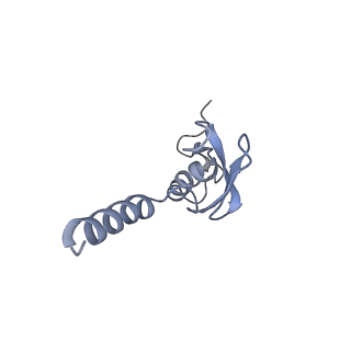 11232_6zj3_L5_v1-2
Cryo-EM structure of the highly atypical cytoplasmic ribosome of Euglena gracilis