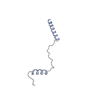11232_6zj3_L6_v1-2
Cryo-EM structure of the highly atypical cytoplasmic ribosome of Euglena gracilis