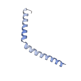 11232_6zj3_L7_v1-2
Cryo-EM structure of the highly atypical cytoplasmic ribosome of Euglena gracilis