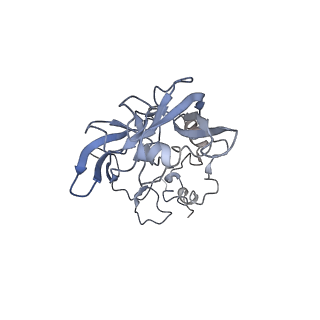 11232_6zj3_LP_v1-2
Cryo-EM structure of the highly atypical cytoplasmic ribosome of Euglena gracilis