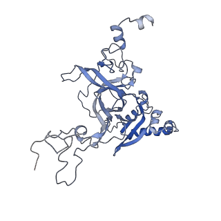 11232_6zj3_LQ_v1-2
Cryo-EM structure of the highly atypical cytoplasmic ribosome of Euglena gracilis