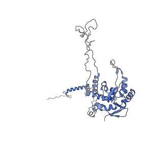 11232_6zj3_LR_v1-2
Cryo-EM structure of the highly atypical cytoplasmic ribosome of Euglena gracilis