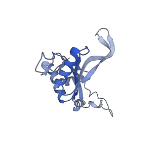 11232_6zj3_LS_v1-2
Cryo-EM structure of the highly atypical cytoplasmic ribosome of Euglena gracilis