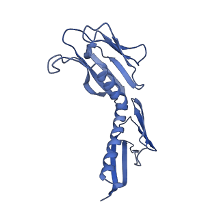 11232_6zj3_LT_v1-2
Cryo-EM structure of the highly atypical cytoplasmic ribosome of Euglena gracilis