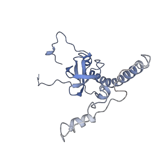 11232_6zj3_LU_v1-2
Cryo-EM structure of the highly atypical cytoplasmic ribosome of Euglena gracilis