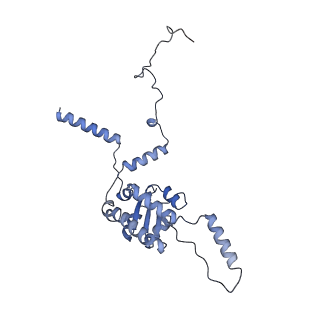 11232_6zj3_LV_v1-2
Cryo-EM structure of the highly atypical cytoplasmic ribosome of Euglena gracilis