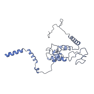 11232_6zj3_LX_v1-2
Cryo-EM structure of the highly atypical cytoplasmic ribosome of Euglena gracilis