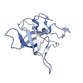 11232_6zj3_LY_v1-2
Cryo-EM structure of the highly atypical cytoplasmic ribosome of Euglena gracilis