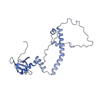 11232_6zj3_LZ_v1-2
Cryo-EM structure of the highly atypical cytoplasmic ribosome of Euglena gracilis